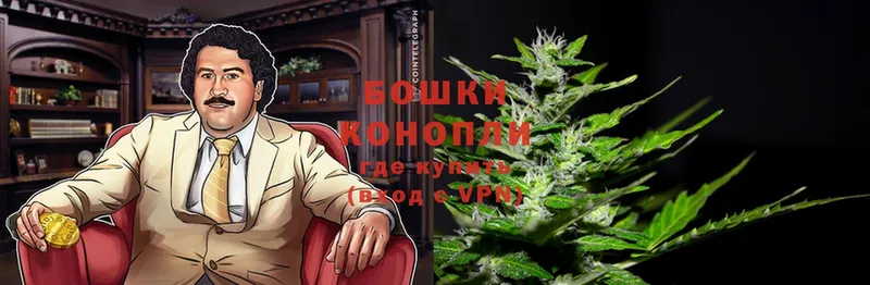 Конопля White Widow  мориарти клад  Трубчевск  как найти закладки 